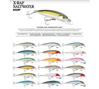 Rapala – Leurre de pêche X‑Rap Saltwater – Suspending – 10 cm / 13 g – Anchovy