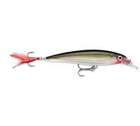 Rapala - X-Rap un leurre eau douce suspending et l'illusion 3D parfaite (taille et forme) d'un poisson, idéal pour les truites, saumons, perches, sandres, black bass et brochets - 10cm,13g coloris Silver