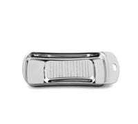Râpe à gingembre inox 17.1x7.3 cm