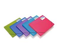 Rapesco Boîte à documents 0804 A4+ Couleurs translucides assorties – Lot de 5