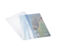 Rapesco Pqt De 25 Pochettes Coin Éco A4