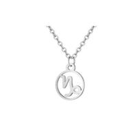 RAPHAEL SPERDIN Collier Astro en acier inoxydable | Bijoux signes astrologiques mixtes (CAPRICORNE (22 Déc.-19 Janv.))