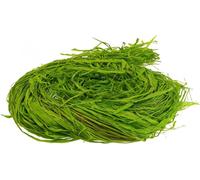 Raphia naturel Raphia pour bricolage Raphia de décoration Fournitures pour fleuristes Vert pomme 200g polyvalent