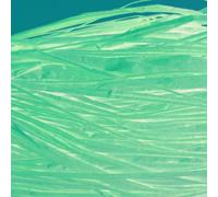 Raphia Végétal Beige En Bobine 50 G