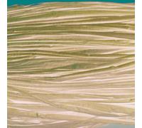 Raphia Végétal Bordeaux En Bobine 50 G