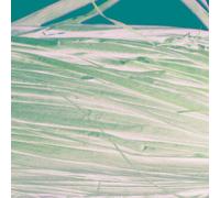 Raphia Végétal Brun Moyen En Bobine 50 G