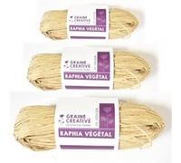 Raphia végétal naturel 150 g Beige G