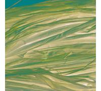 Raphia Végétal Rose Clair En Bobine 50 G