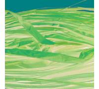 Raphia Végétal Rouille En Bobine 50 G