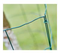 Rapid Agrafes à grillage VR22 – Acier galvanisé plastifié vert pour grillages 5–11 mm, 1000 pièces