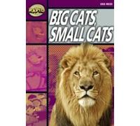 Rapid Reading: Big Cats Small Cats (Stage 1, Level 1a)