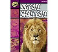 Rapid Reading: Big Cats Small Cats (Stage 1, Level 1a)