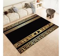 Rapis Noirs Tapis Géométrique Greek Key Machine Machine Washable Area Rapier 60 X 90 Cm Soft Fluffy Non Glisser Le Tapis De Pile Courte pour Le Salon Room Dining Room Office & Nursery,160 X 230 Cm