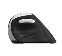 Rapoo EV250 souris Bureau Droitier RF sans fil Optique 1600 DPI
