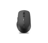 Rapoo M300 Silent souris Bureau Ambidextre RF sans fil + Bluetooth Optique 1600 DPI
