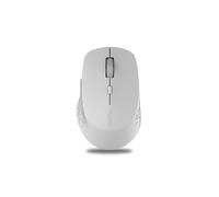 Rapoo M300 Silent souris Droitier RF sans fil + Bluetooth 1600 DPI