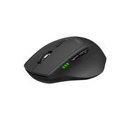 Rapoo Souris optique sans fil M550 Multi-mode 2,4GHz/BT3.0/BT4.0 Noir avec molette et boutons
