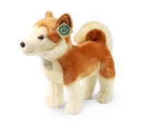Rappa - 240353 - Chien Akita Inu, peluche, 30 cm x 27 cm x 12 cm, lavage à la main, respectueux de l'environnement