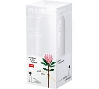 RAPPA Sluban Flowers M38-B1101-03 Protea grand en vase