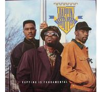 RAPPIN' IS FUNDAMENTAL - Rappin' is fundamental / 390 751-1