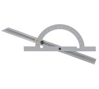 Rapporteur dangle en acier 254613