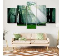 RAPSANI Avec cadre Peinture 5 Pièces toile de peinture Clairière dans la forêt,Art Moderne,HD Sticker Mural Modulaire Affiche Décor,Cadeau,tableau decoration murale chambre 125x60cm