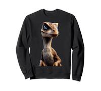 Raptor Velociraptor Dinosaure J'aime Les Dinos Raptors Sweatshirt