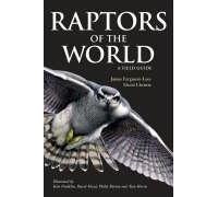 Raptors Of The World: A Field Guide