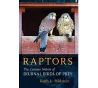 Raptors: The Curious Nature of Diurnal Birds of Prey