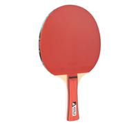 Raquette de tennis de table enfant Joola Team Rouge TU