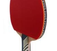 Raquette De Tennis De Table Karakal Kt200