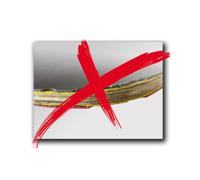 Donic-Schildkröt Raquette de Tennis de Table Protection Line S500, avec Protection Contre la Plumaison, Éponge de 1,5 mm, Revêtement Elite - ITTF, 713055