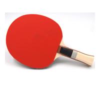 Raquette de tennis de table sunflex Plus A13 Noir TU
