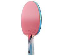 Raquettes de Tennis de Table, Pagaie de Ping-Pong 4 étoiles, 7 Couches de Bois Pur, Ensemble de battes de Tennis de Table for débutants, Amateurs, entraîneurs, compétition, entraînement(Penhold Grip)
