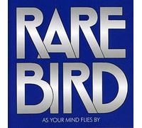 RARE BIRD - As Your Mind Flies by