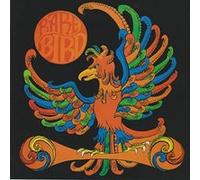 Rare Bird E