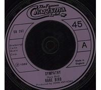 RARE BIRD - Sympathy