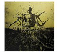 After the Burial Rareform (Vinyl) 12" Album