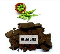 Rasayan Marque : Neem Cake Powder - Aliment super polyvalent pour toutes les plantes et plantes saines - Idéal pour les jardins et porches - 900 g