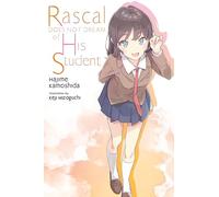 Rascal Does Not Dream of His Student (light novel)