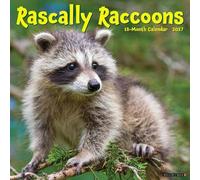 Rascally Raccoons 2027 Wall