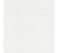 Rasch 128000 Papier peint intissé avec structure granulaire Feel Good Blanc 10,05 m x 0,53 m