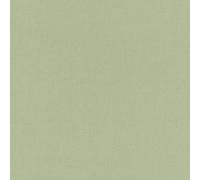Rasch 423938 Poetry Papier peint intissé universel Vert 10,05 m x 0,53 m
