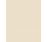 Rasch 517415 Papier peint intissé uni lisse Beige
