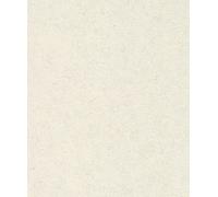 Rasch Andy Wand 649314 Papier peint intissé universel Blanc 10,05 x 0,53 m