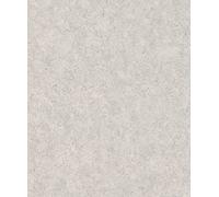Rasch Andy Wand 649321 Papier peint intissé universel Gris 10,05 x 0,53 m