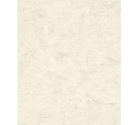 Papier Peint Intissé 499759 Papier Peint Industriel 53 x 1005 cm Rasch Factory V