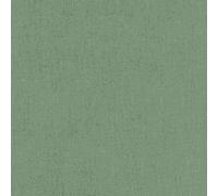 Rasch Color your life 633191 Papier peint non tissé uni Vert 10,05 m x 0,53 m (L x l)