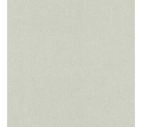 Rasch Color Your Life 633696 Papier peint intissé Uni 0.53 x 10.05 m Gris