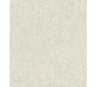 Rasch Concrete 498424 Factory VI Papier peint intissé Aspect béton Beige/gris